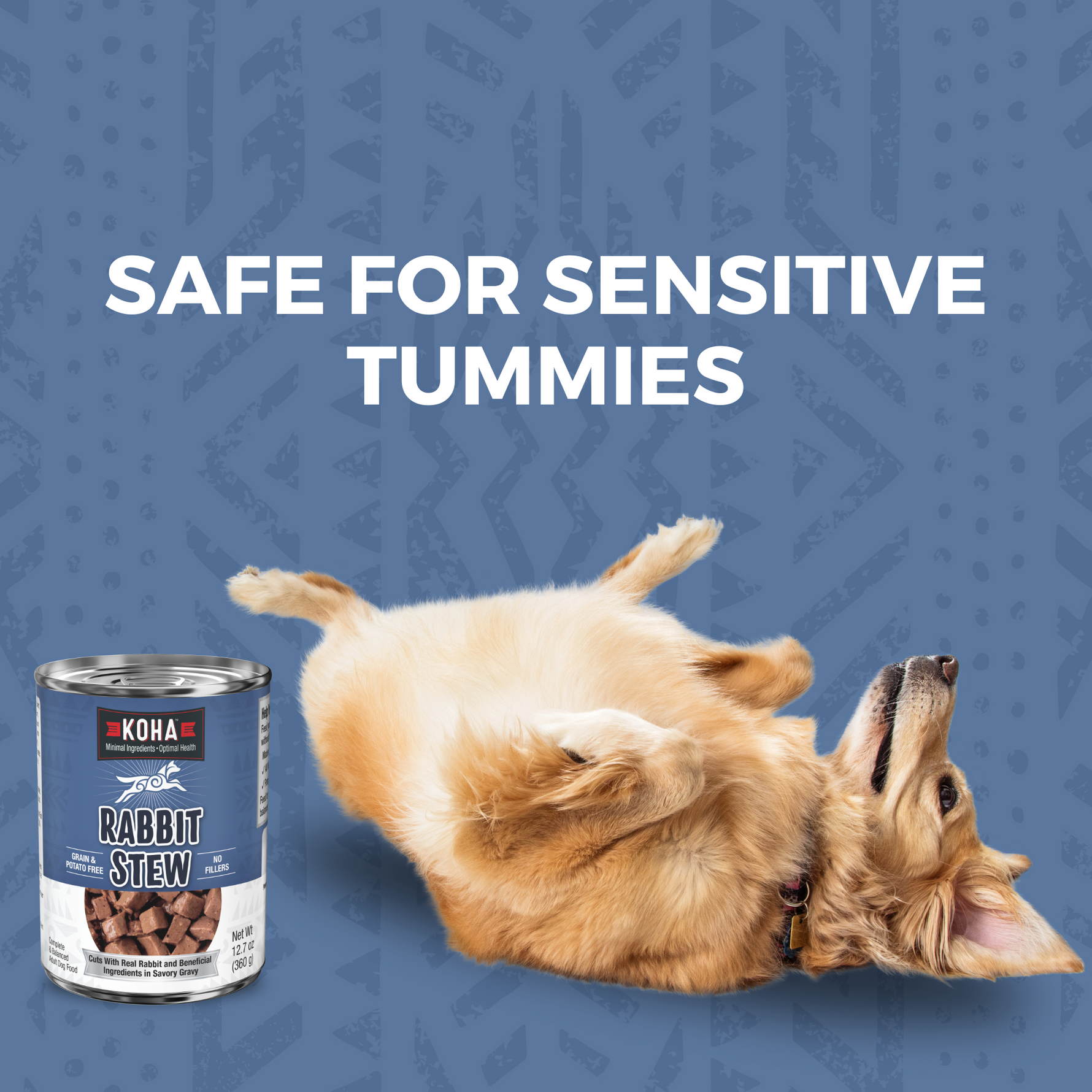 KOHA Rabbit Stew can with a dog on a blue background, text 'Safe for Sensitive Tummies'.