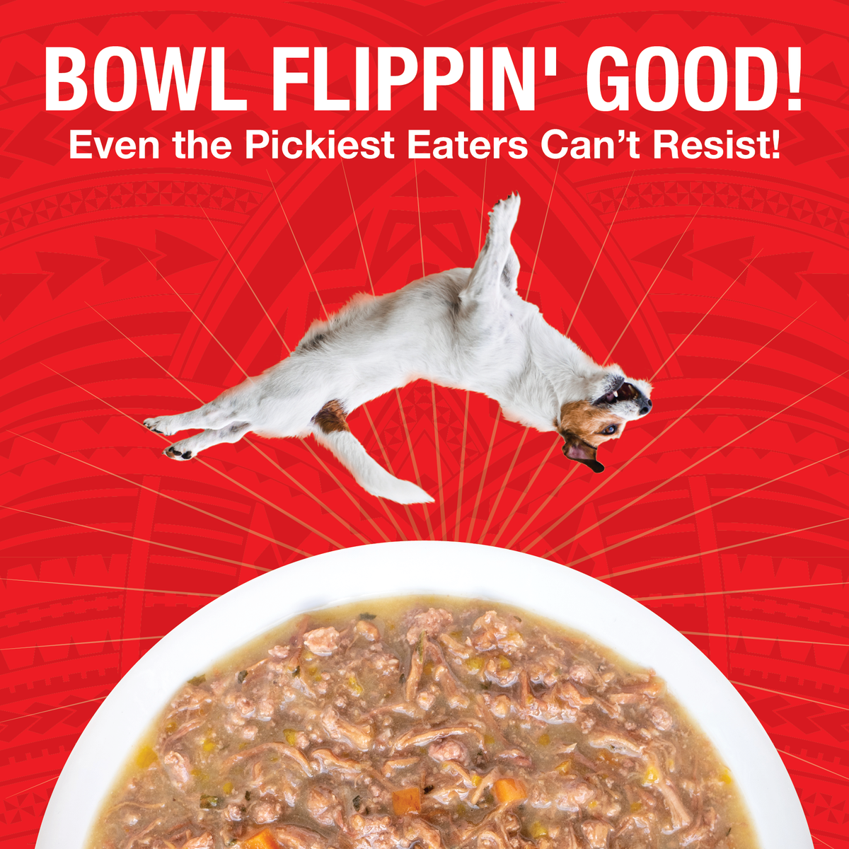 An image of a dog flipping over a bowl of KOHA PUre Shreds food in a white bowl with the headling Bowl Flippin' Good Even the pickest eaters can't resist. 