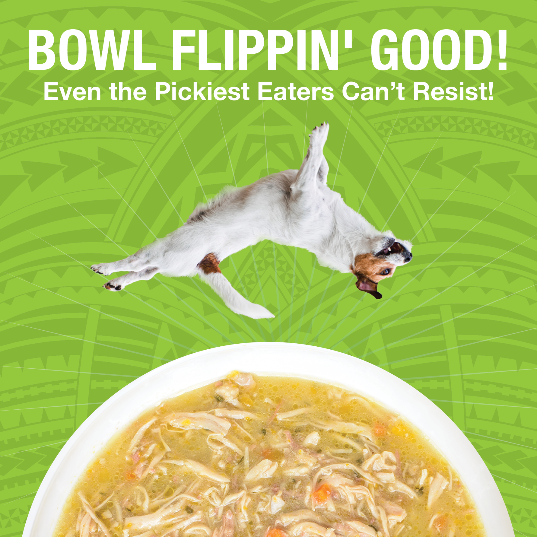 An image of a dog flipping over a bowl of KOHA PUre Shreds food in a white bowl with the headling Bowl Flippin' Good Even the pickest eaters can't resist. 
