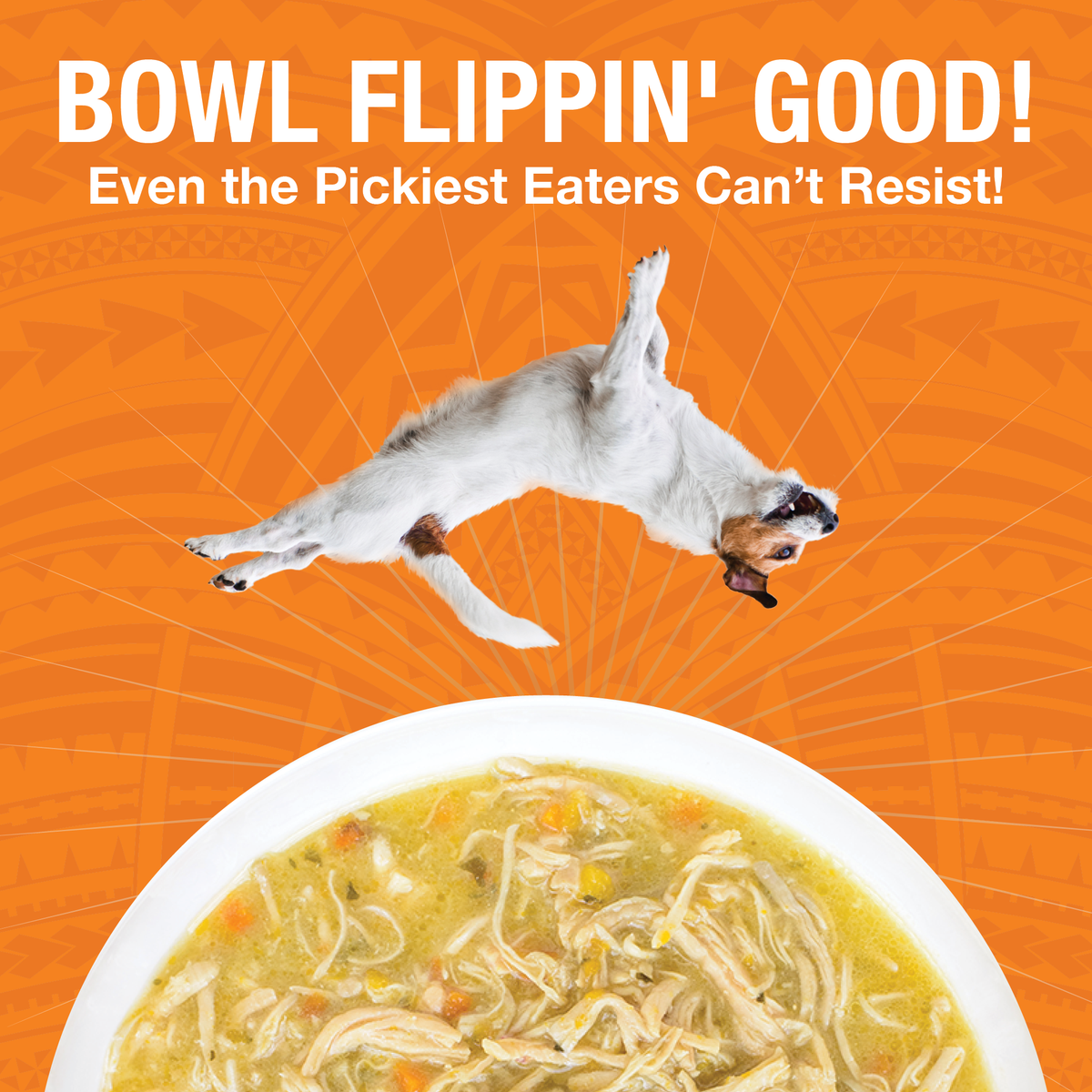 An image of a dog flipping over a bowl of KOHA PUre Shreds food in a white bowl with the headling Bowl Flippin' Good Even the pickest eaters can't resist. 