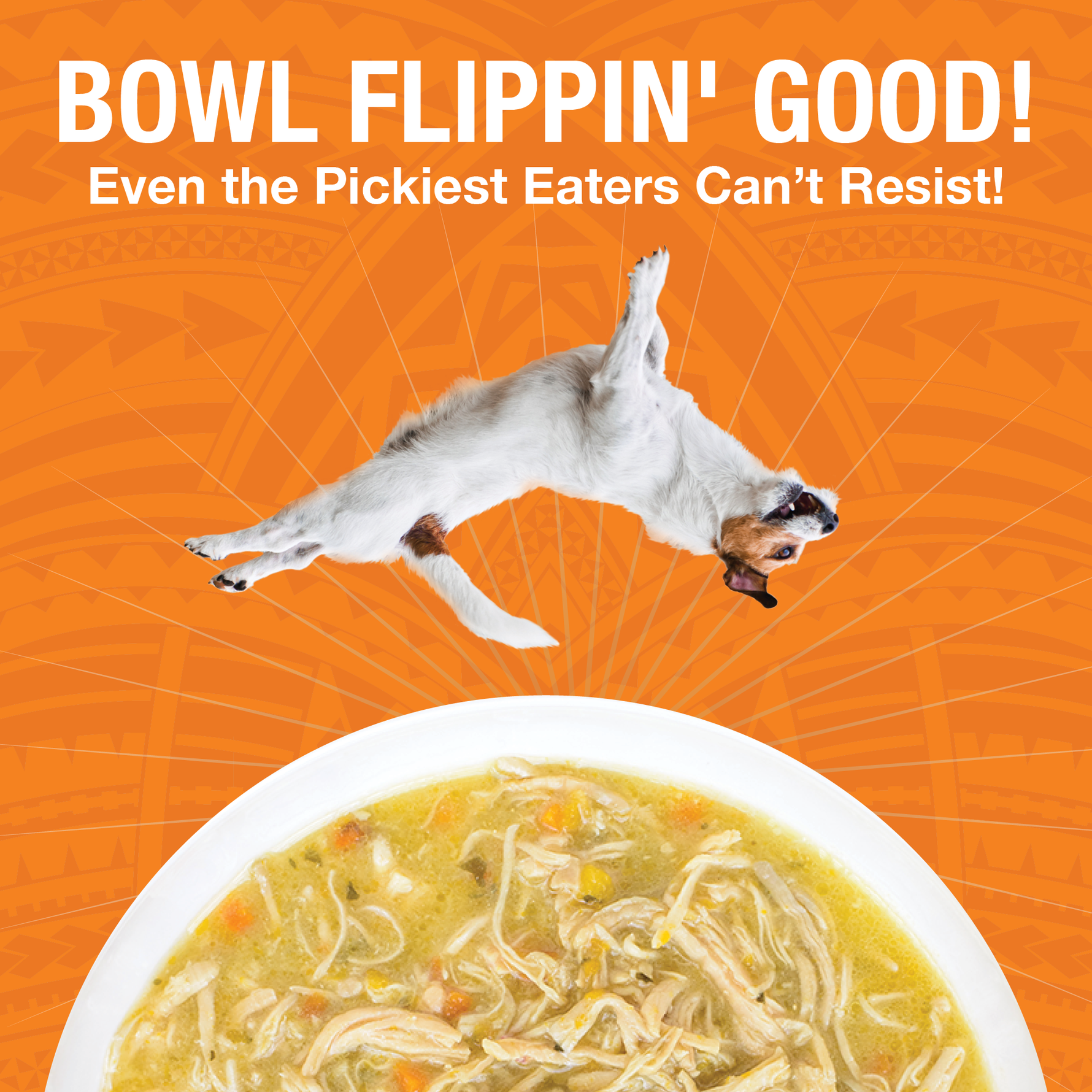 An image of a dog flipping over a bowl of KOHA PUre Shreds food in a white bowl with the headling Bowl Flippin' Good Even the pickest eaters can't resist. 