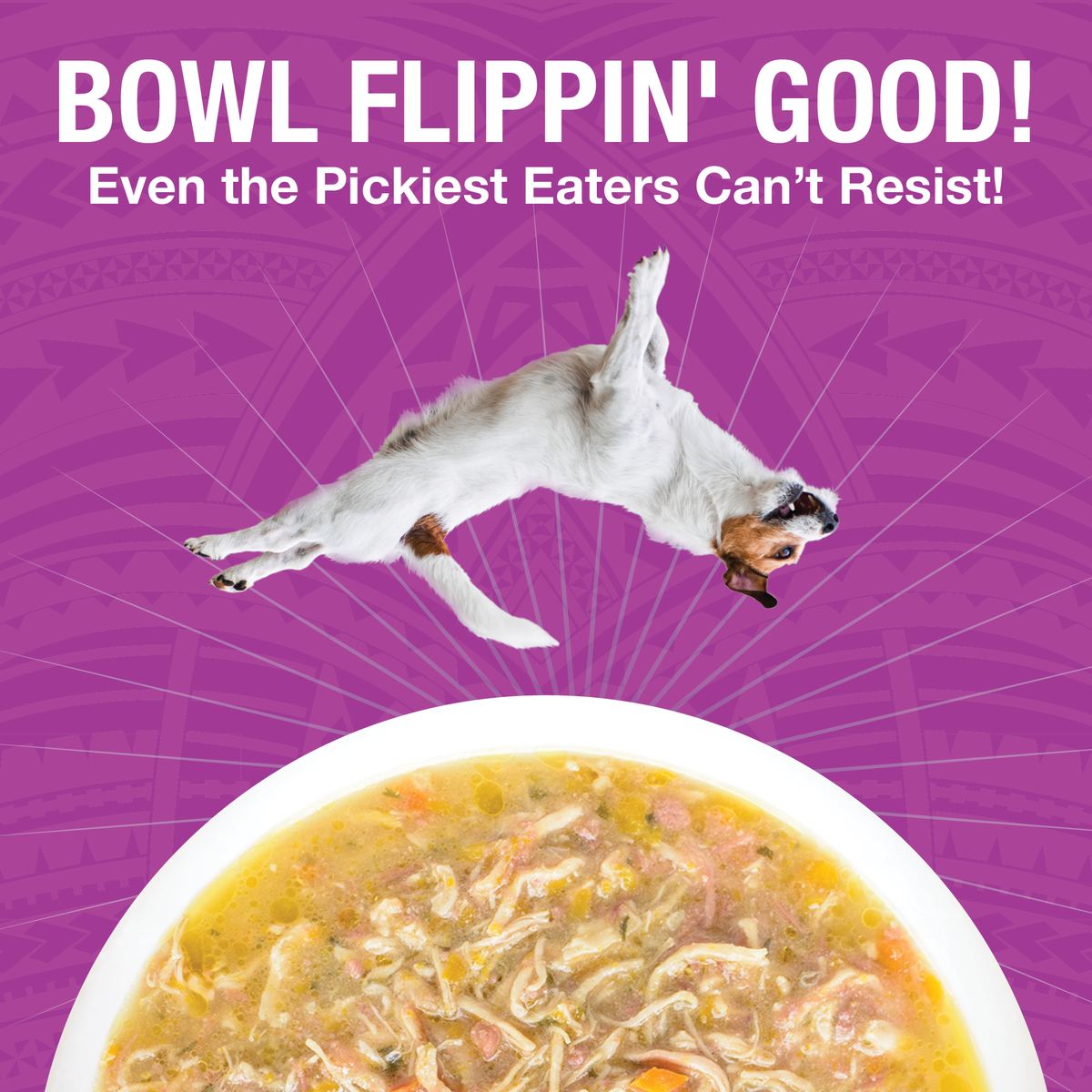 An image of a dog flipping over a bowl of KOHA PUre Shreds food in a white bowl with the headling Bowl Flippin' Good Even the pickest eaters can't resist. 