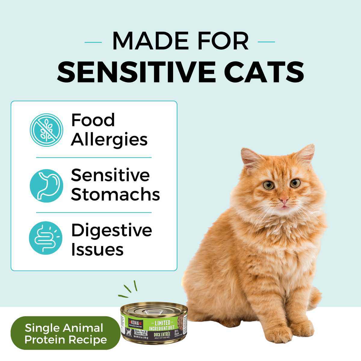Graphic with a light blue background and a cat sitting next to a can of KOHA food. The copy says Made for Sensitive Cats. In a box, the bullets say Food Allergies, Sensitive Stomachs, Digestive Issues. The bottom says Single Animal Protein Recipe. 
