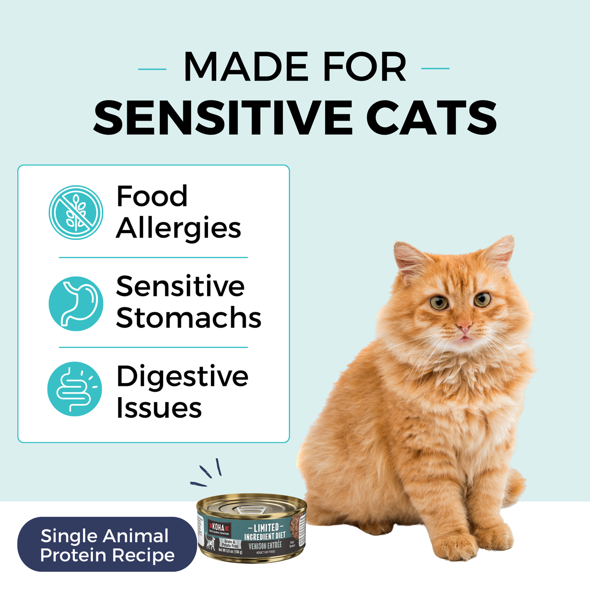 Graphic with a light blue background and a cat sitting next to a can of KOHA food. The copy says Made for Sensitive Cats. In a box, the bullets say Food Allergies, Sensitive Stomachs, Digestive Issues. The bottom says Single Animal Protein Recipe. 
