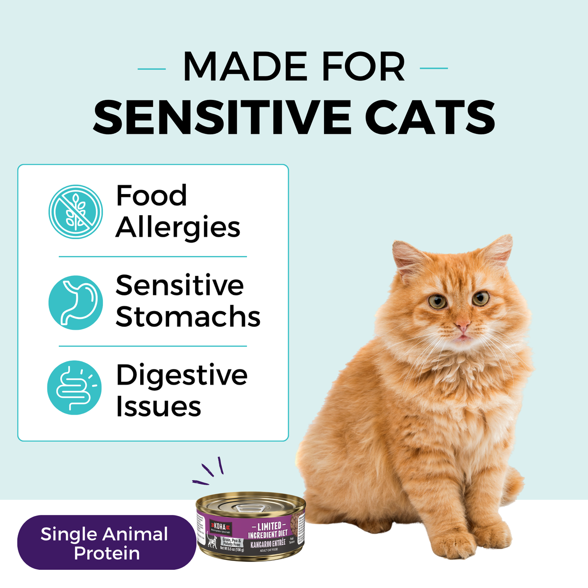 Graphic with a light blue background and a cat sitting next to a can of KOHA food. The copy says Made for Sensitive Cats. In a box, the bullets say Food Allergies, Sensitive Stomachs, Digestive Issues. The bottom says Single Animal Protein. 
