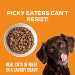 Big Easy Feast Slow Cooked Stew Turkey, Chicken, & Duck for Dogs