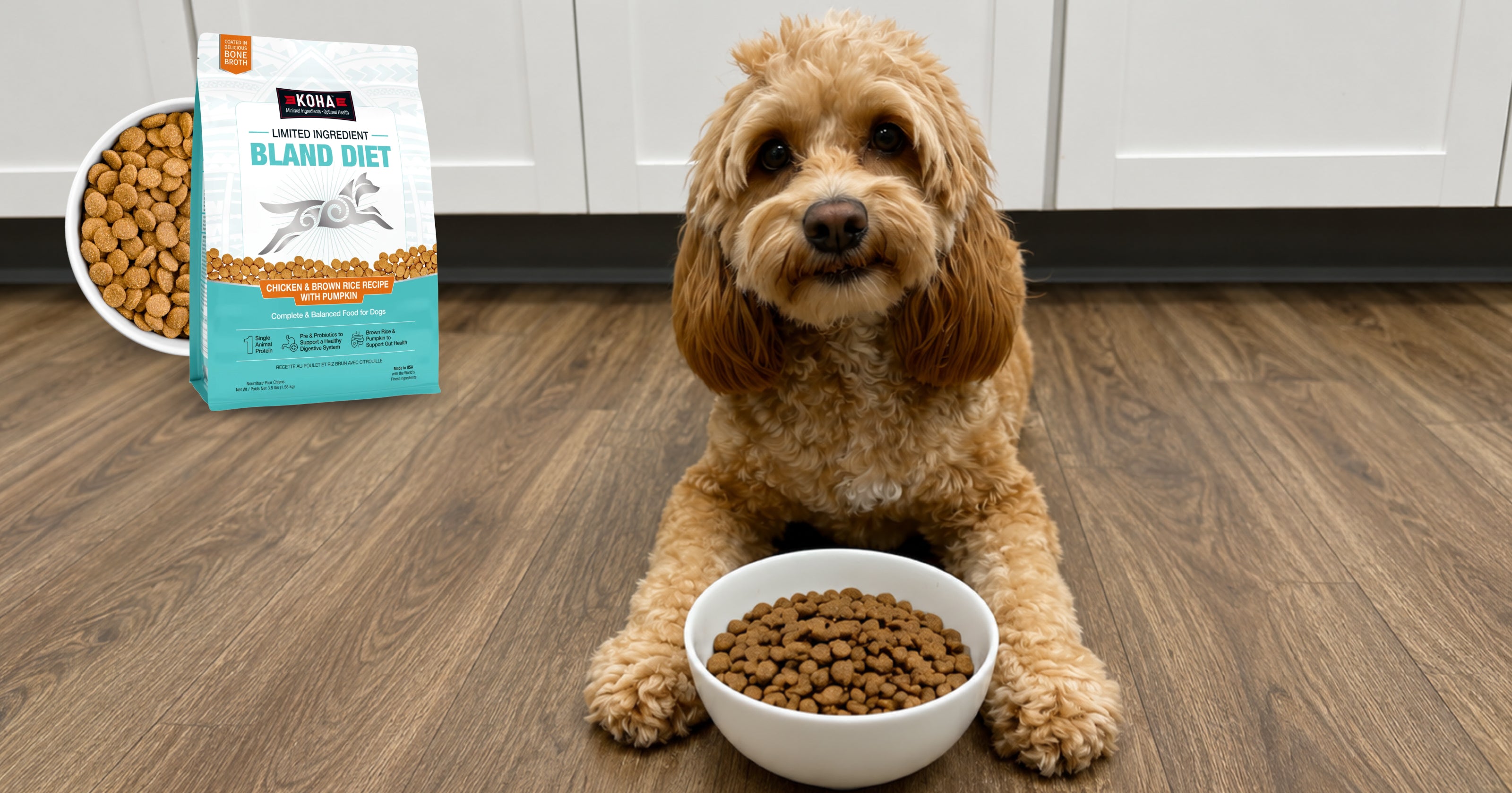 Picture of a dog on the floor with a white bowl of KOHA Bland diet kibble and a an image of the bag of the food . 