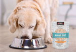 A golden retriever eats from a silver bowl with KOHA limited ingredient bland diet food on the floor.