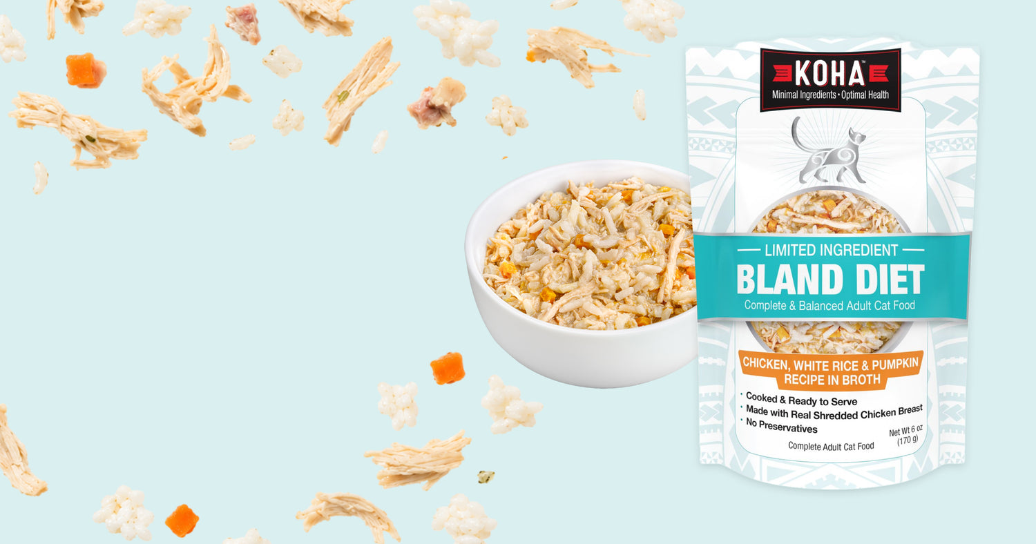 Koha cat food pouch for Bland Diet on a light blue background with floating chicken pieces and a bowl of the mixed cat food. 