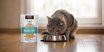 A gray cat eating from a metal bowl on a wooden floor next to a package of KOHA Bland Diet cat food.