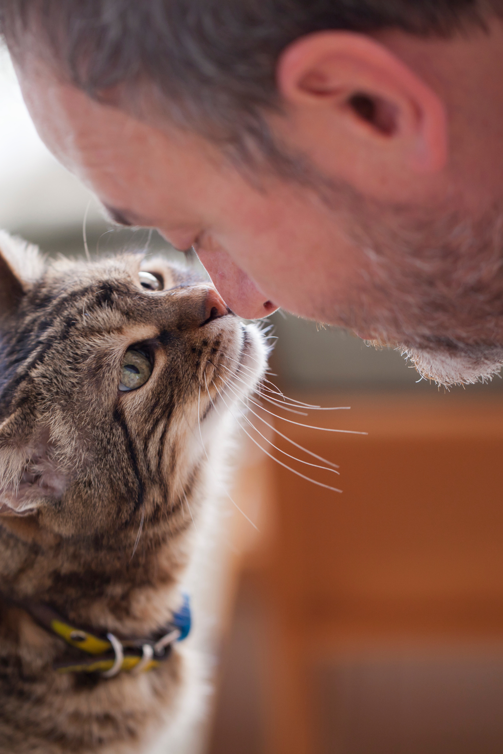 A woman with glasses and a warm smile holds an orange tabby cat in a cozy indoor setting.