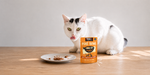 A white cat with black patches sits on a wooden floor next to an orange pouch of KOHA Poke Bowl wet cat food and a small plate.