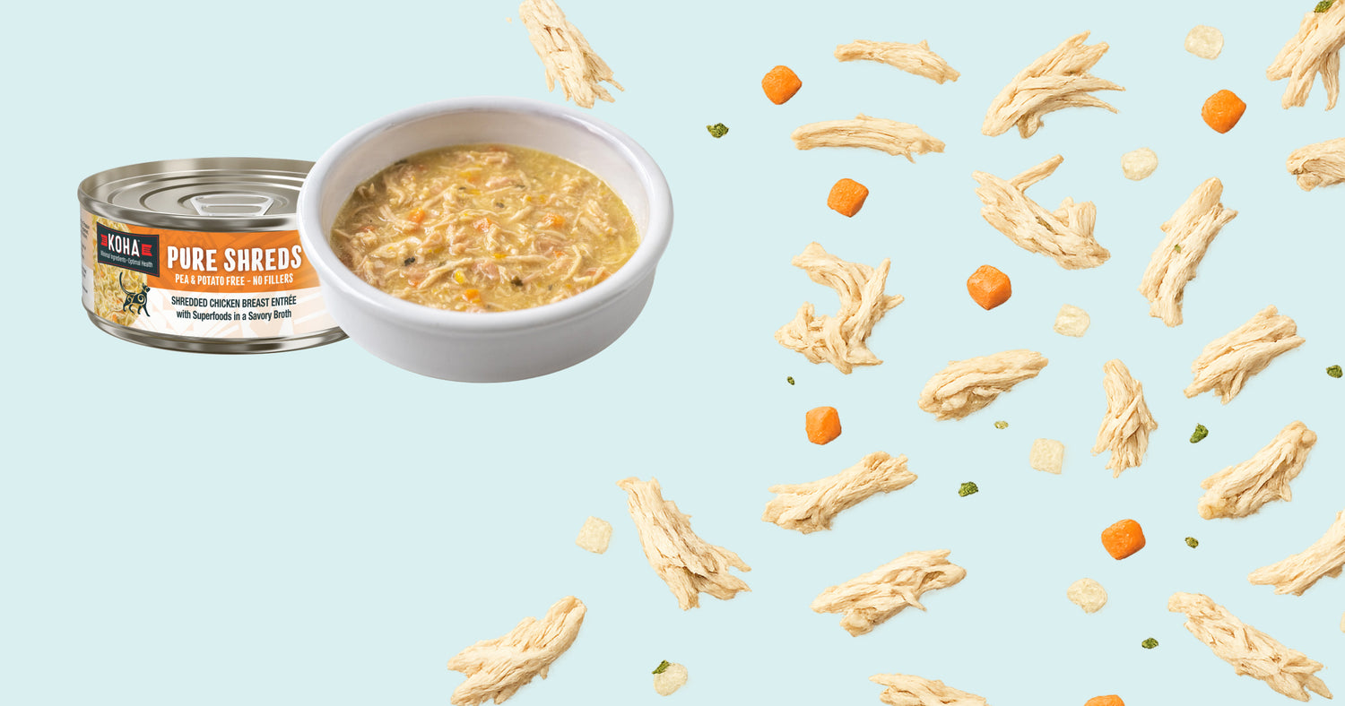 A can of KOHA Pure Shreds wet cat food next to a white bowl filled with the food, set against a light blue background.