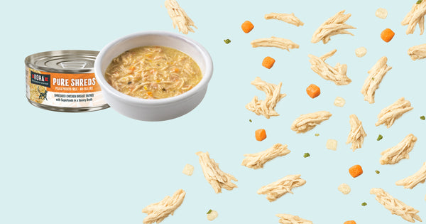 A can of KOHA Pure Shreds wet cat food next to a white bowl filled with the food, set against a light blue background.