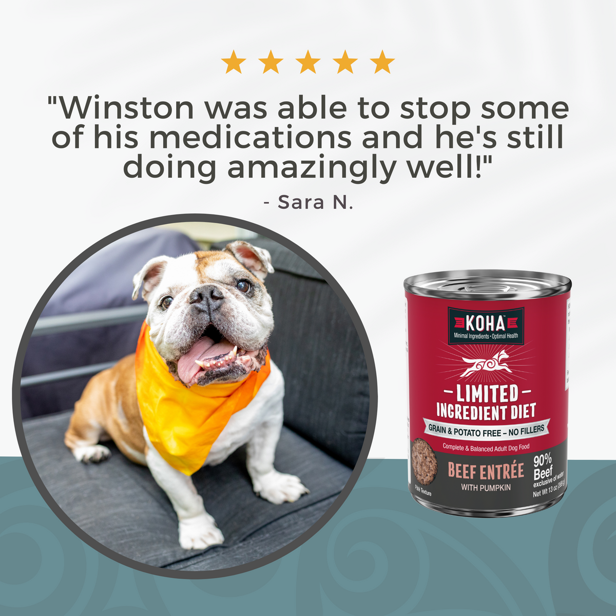 Image of a dog and KOHA can of Limited Ingredient Diet beef with a written testimonial