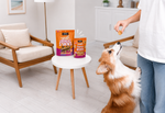 A person in a white t-shirt and jeans holds a treat for a corgi dog while two bags of KOHA dog treats sit on a small white side table in a bright, modern living room.