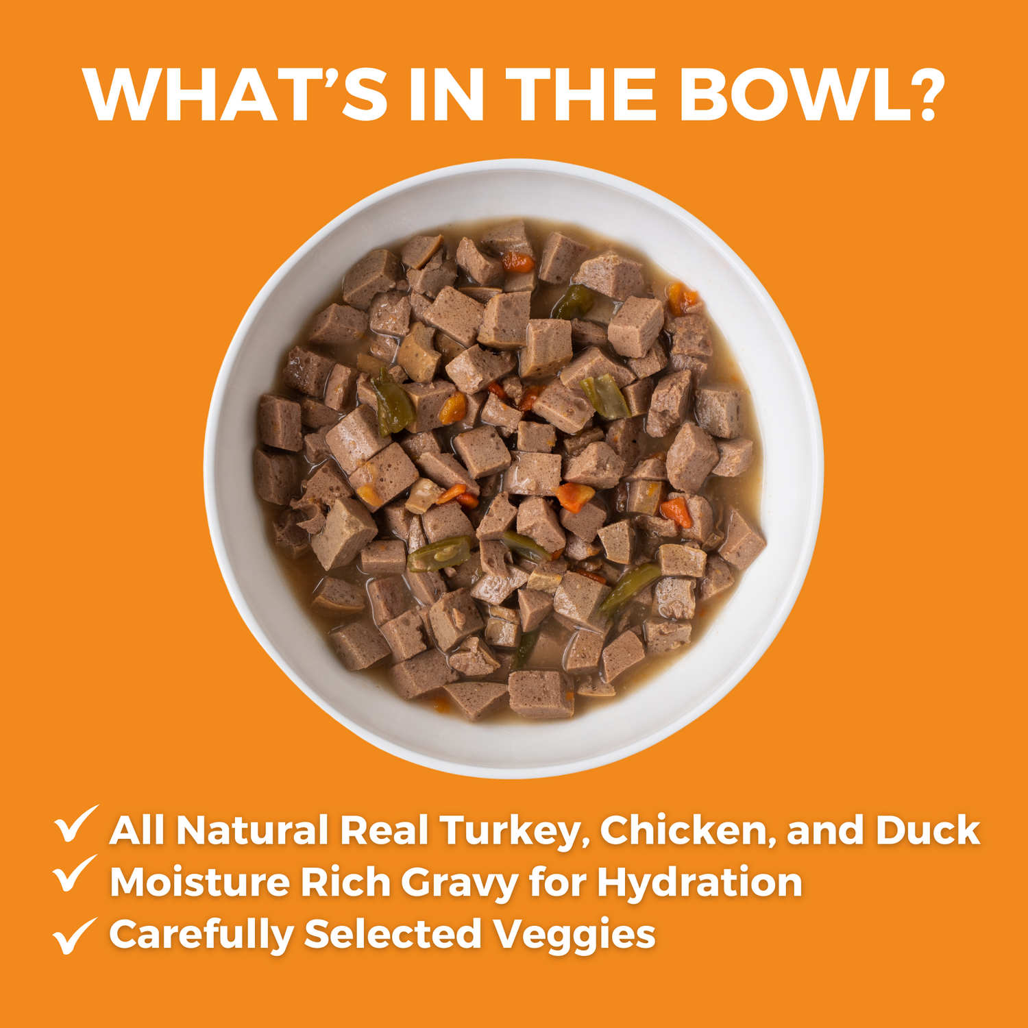 KOHA slow cooked stew in a white bowl with the heading What's in the Bowl? And bullets that say All Natural Real Chicken and Pork, Moisture Rick Gravy for Hydration, and Carefully Selected Veggies. 