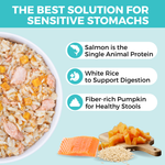 Graphic showing KOHA salmon, rice, and pumpkin bland diet for dogs with sensitive stomachs and benefits for digestion and stool health.