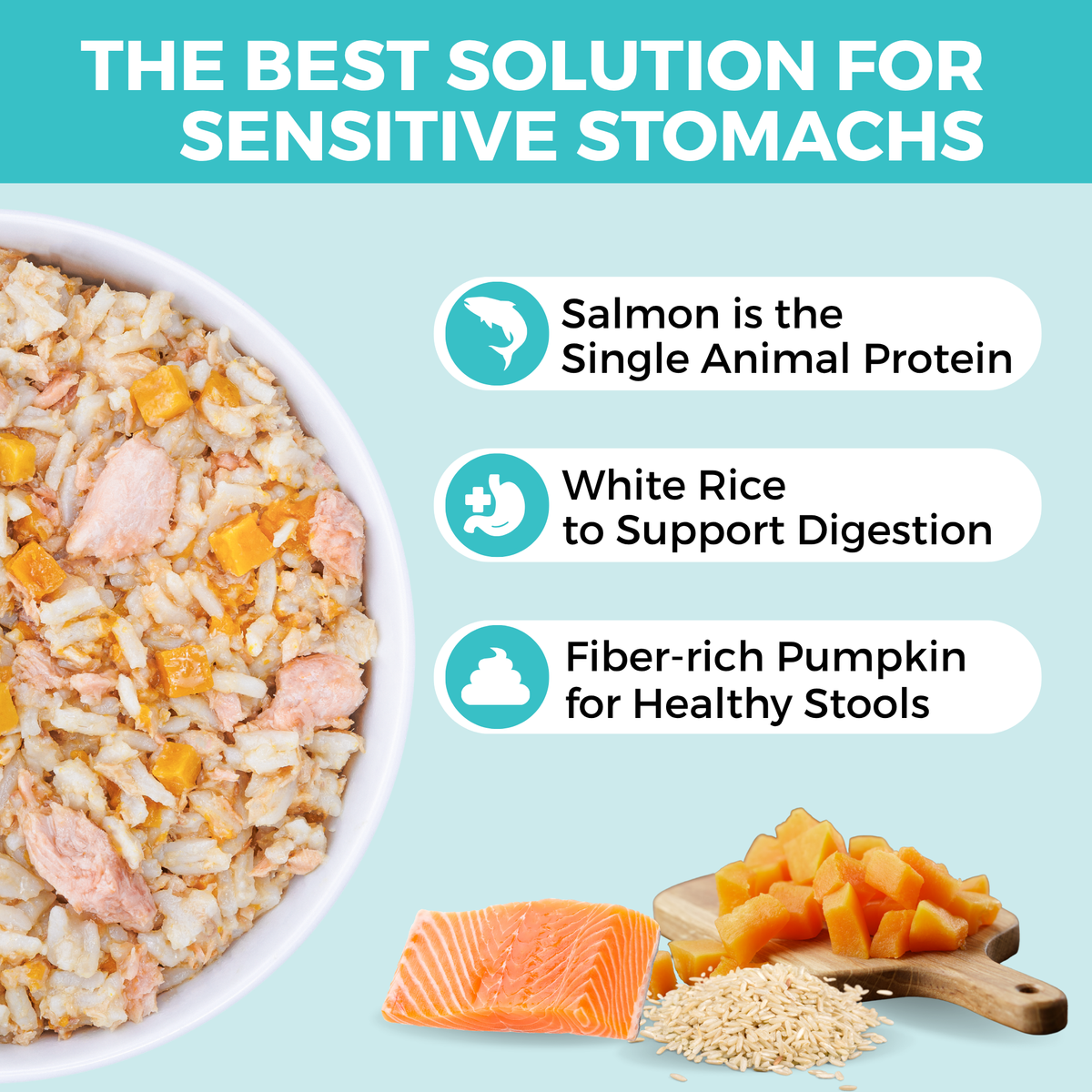 Graphic showing KOHA salmon, rice, and pumpkin bland diet for dogs with sensitive stomachs and benefits for digestion and stool health.