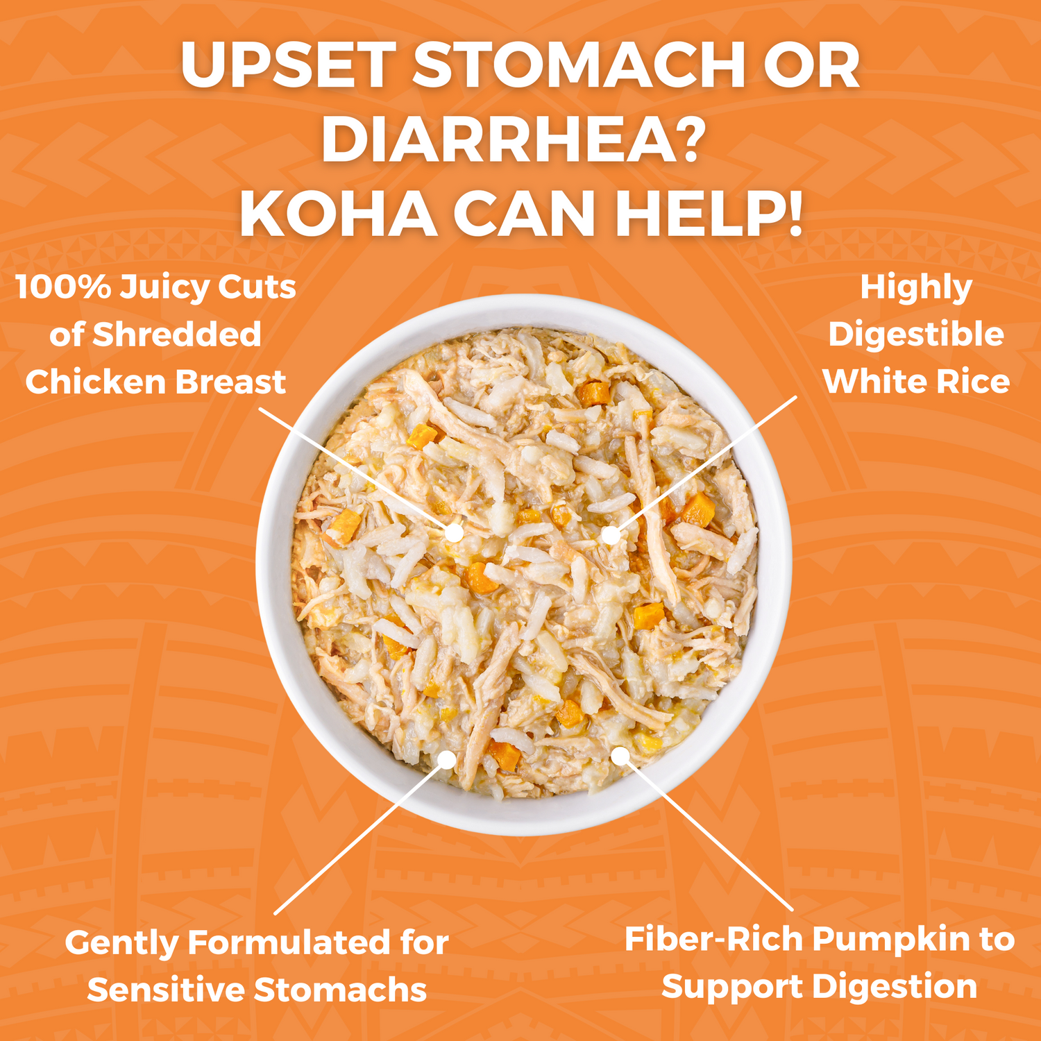 Graphic highlighting KOHA Bland Diet Wet Food for Cats featuring shredded chicken, highly digestible white rice, and fiber-rich pumpkin to support digestion and sensitive stomachs
