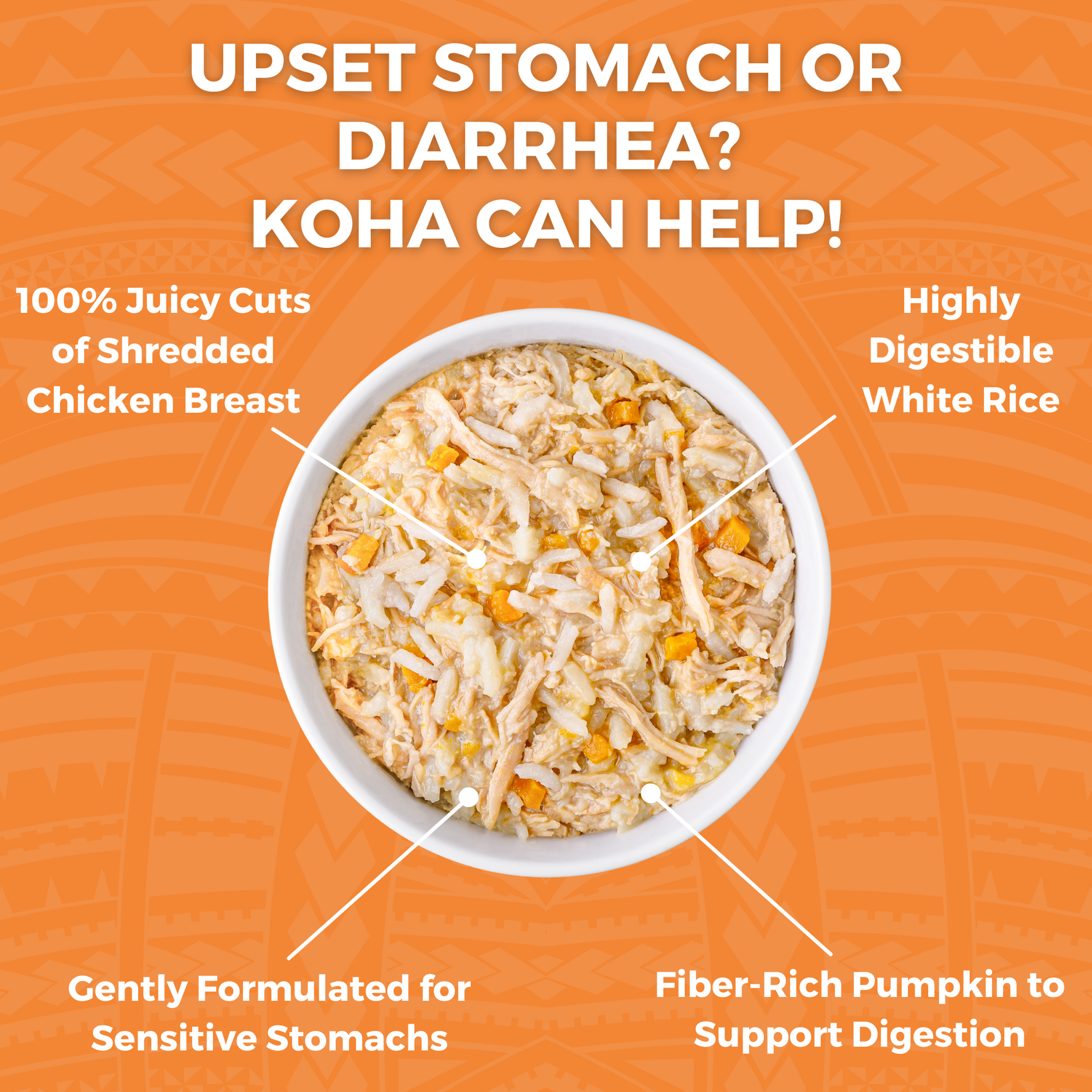 Graphic highlighting KOHA Bland Diet Wet Food for Cats featuring shredded chicken, highly digestible white rice, and fiber-rich pumpkin to support digestion and sensitive stomachs