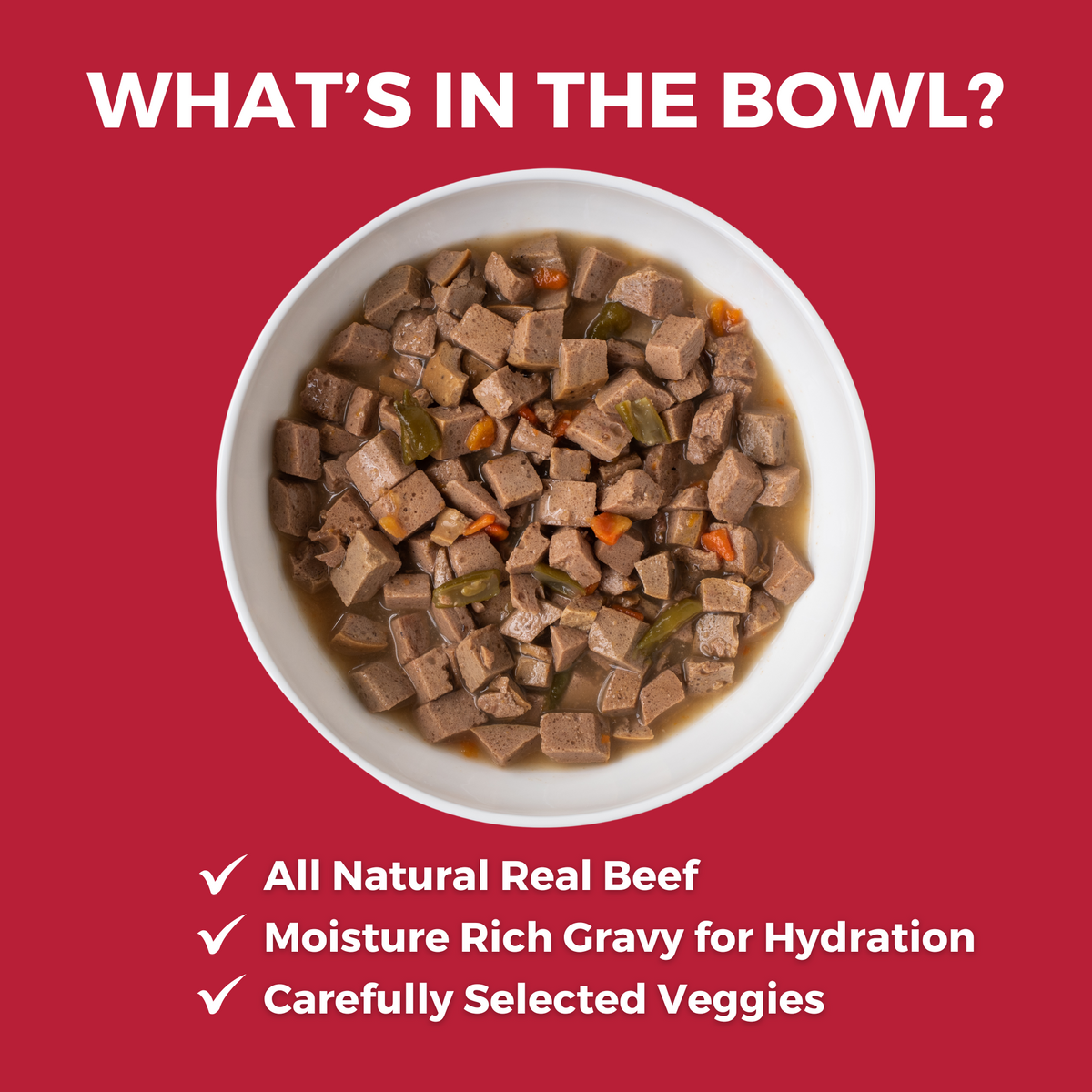 Image of slow cooked stew KOHA food in a white bowl with text that says What's in the bowl? and bullets that say All natural real beef; Moisture rich gravy for hydration and carefully selected veggies