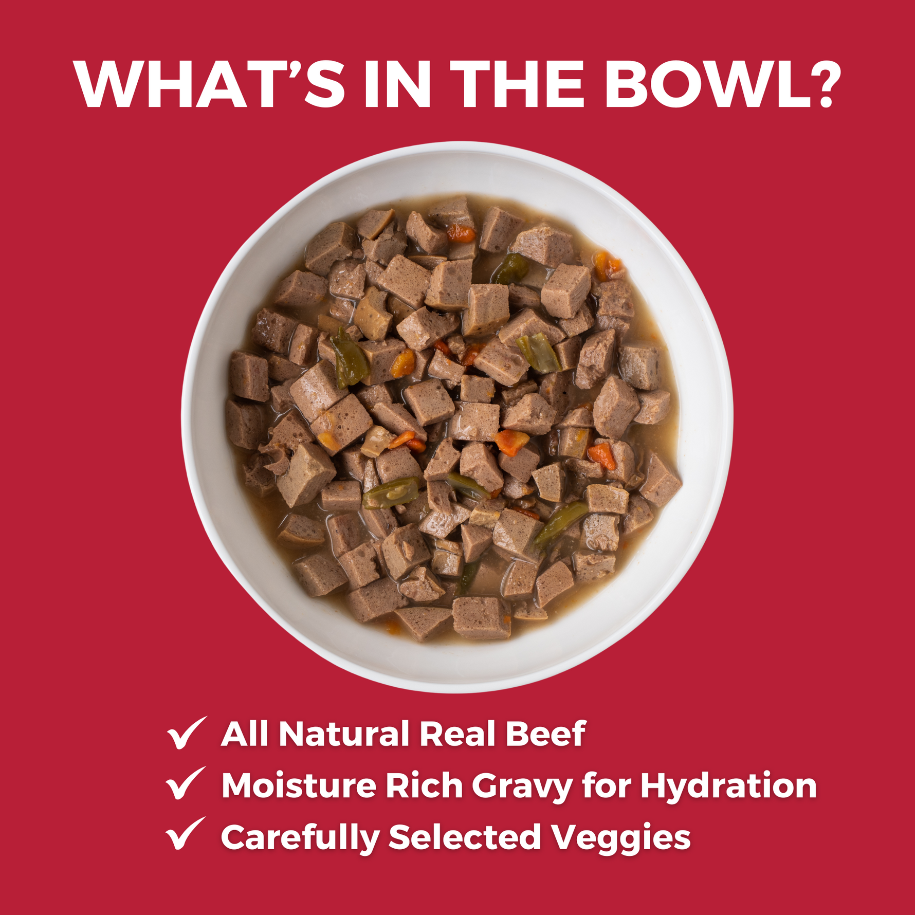 Image of slow cooked stew KOHA food in a white bowl with text that says What's in the bowl? and bullets that say All natural real beef; Moisture rich gravy for hydration and carefully selected veggies
