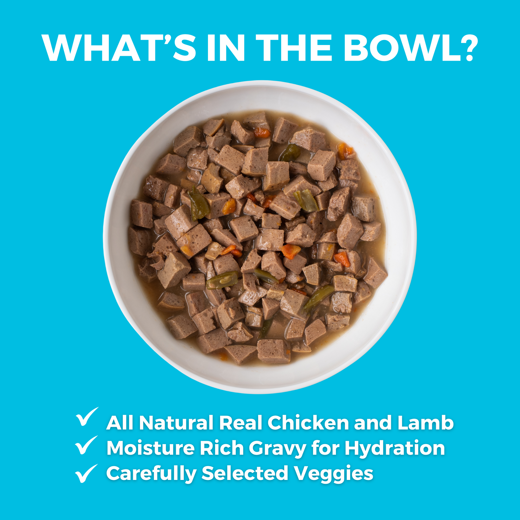 KOHA slow cooked stew in a white bowl with the heading What's in the Bowl? And bullets that say All Natural Real Chicken and Pork, Moisture Rick Gravy for Hydration, and Carefully Selected Veggies. 