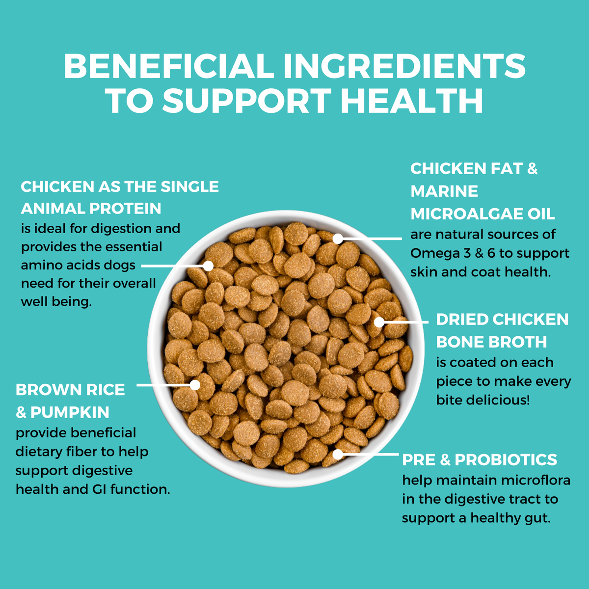 Graphic highlighting KOHA Dry Bland Diet ingredients, including chicken, pumpkin, probiotics, and Omega fatty acids to support digestion.