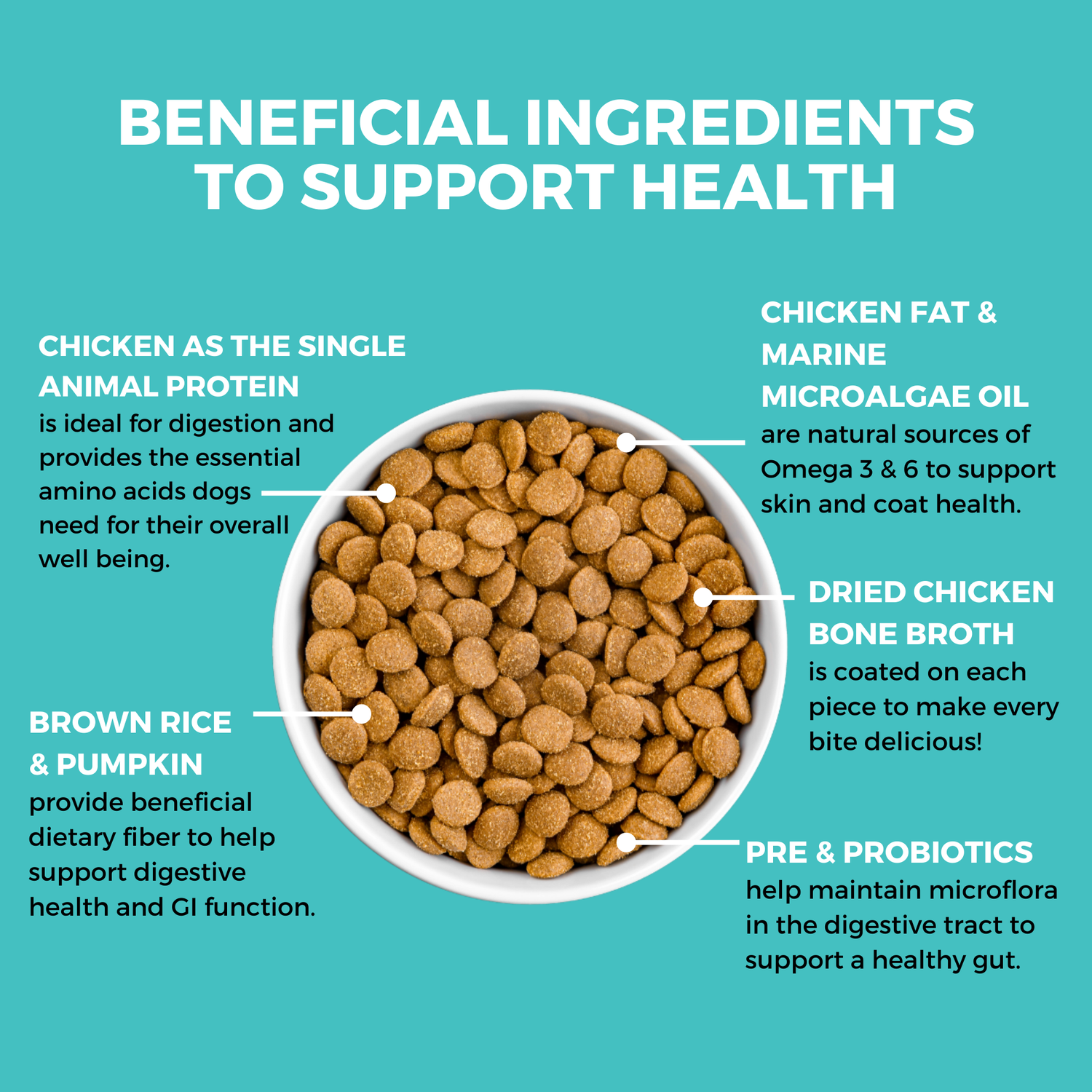 Graphic highlighting KOHA Dry Bland Diet ingredients, including chicken, pumpkin, probiotics, and Omega fatty acids to support digestion.