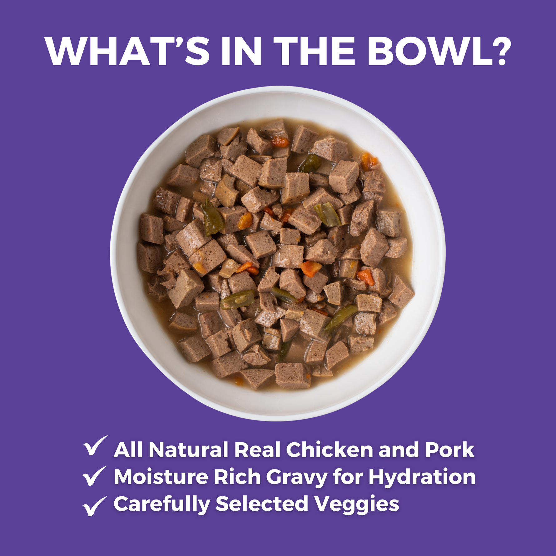 KOHA slow cooked stew in a white bowl with the heading What's in the Bowl? And bullets that say All Natural Real Chicken and Pork, Moisture Rick Gravy for Hydration, and Carefully Selected Veggies. 