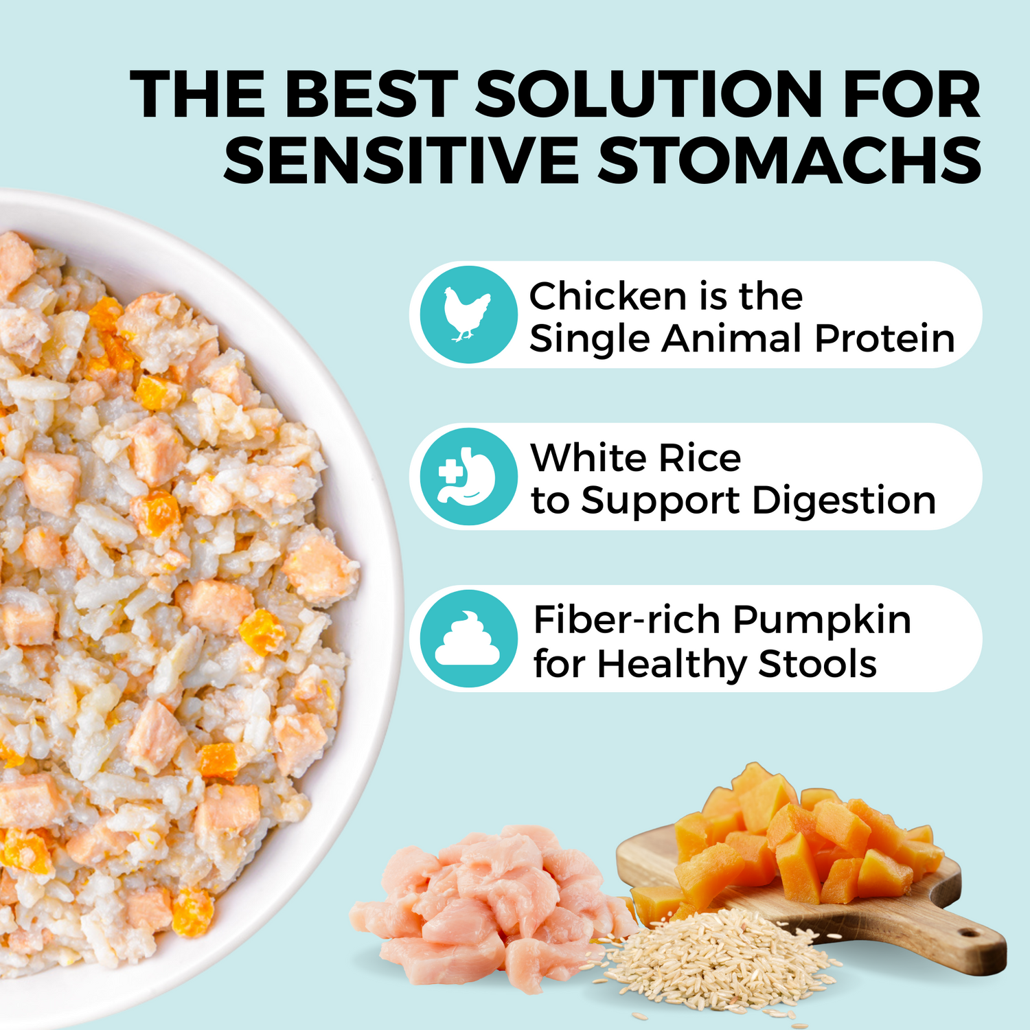 Graphic showing a chicken, rice, and pumpkin bland diet for dogs with sensitive stomachs and benefits for digestion and stool health.