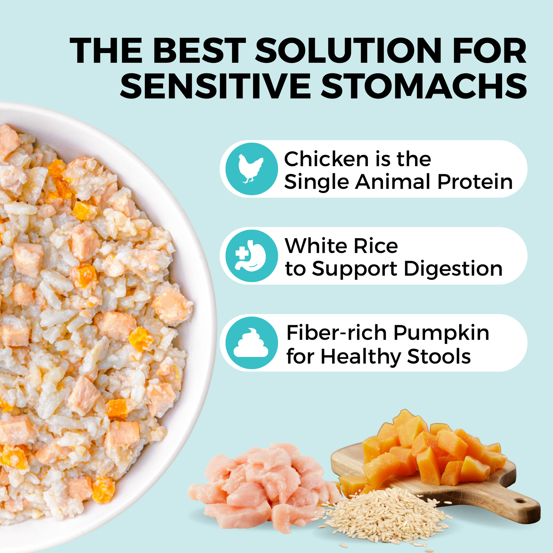 Graphic showing a chicken, rice, and pumpkin bland diet for dogs with sensitive stomachs and benefits for digestion and stool health.