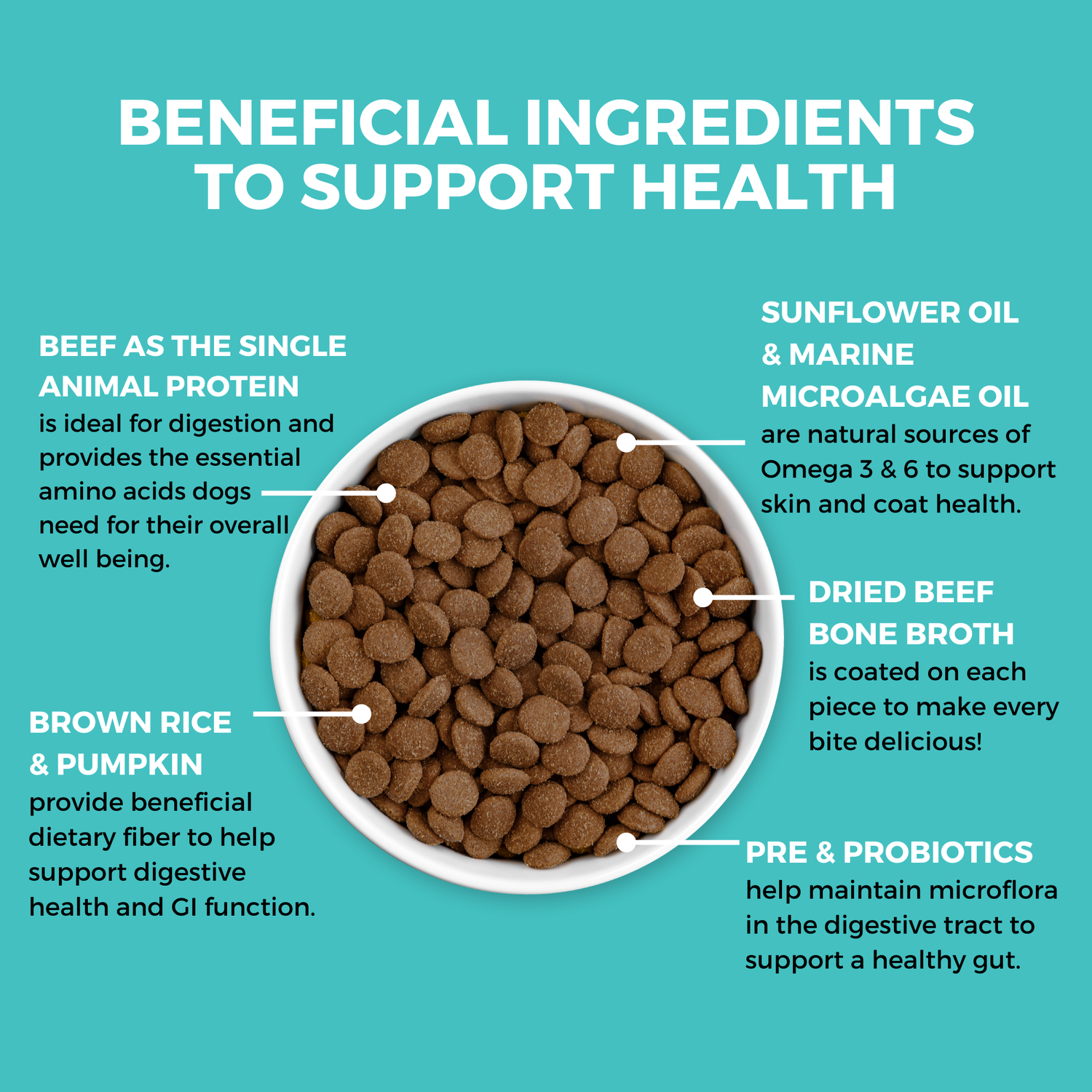 Graphic highlighting beneficial ingredients in KOHA Dry Bland Diet, including beef, pumpkin, probiotics, and Omega fatty acids.