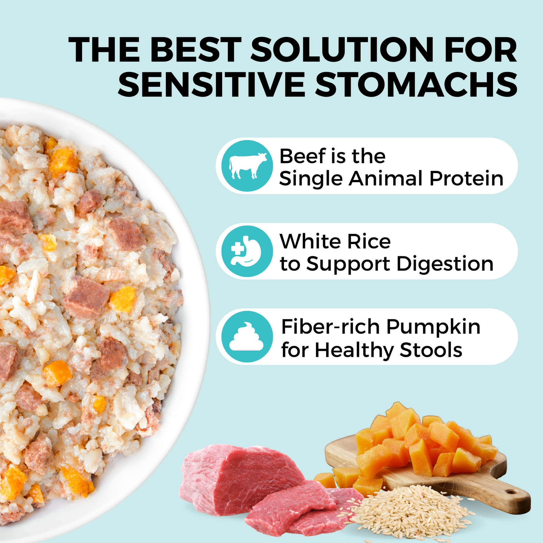 Graphic showing a beef, rice, and pumpkin bland diet for dogs with sensitive stomachs and benefits for digestion and stool health.