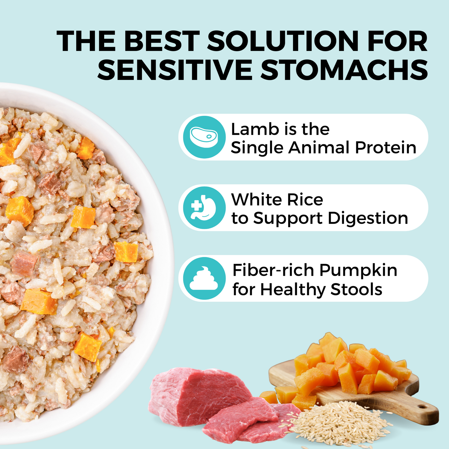 Graphic showing a lamb, rice, and pumpkin bland diet for dogs with sensitive stomachs and benefits for digestion and stool health.