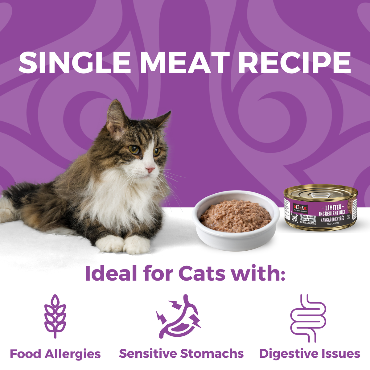 Limited Ingredient Diet Kangaroo Paté Wet Cat Food | KOHA Pet Limited Ingredient Diet Kangaroo Paté Wet Cat Food | KOHA Pet