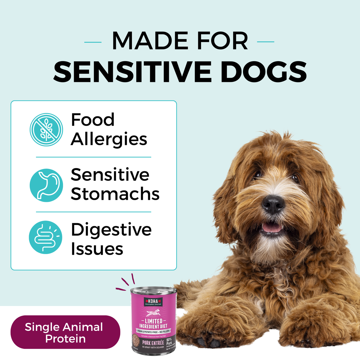 Graphic with a light blue background and a dog laying down next to a can of KOHA food. The copy says Made for Sensitive Dogs. In a box, the bullets say Food Allergies, Sensitive Stomachs, Digestive Issues. The bottom says Single Animal Protein. 
