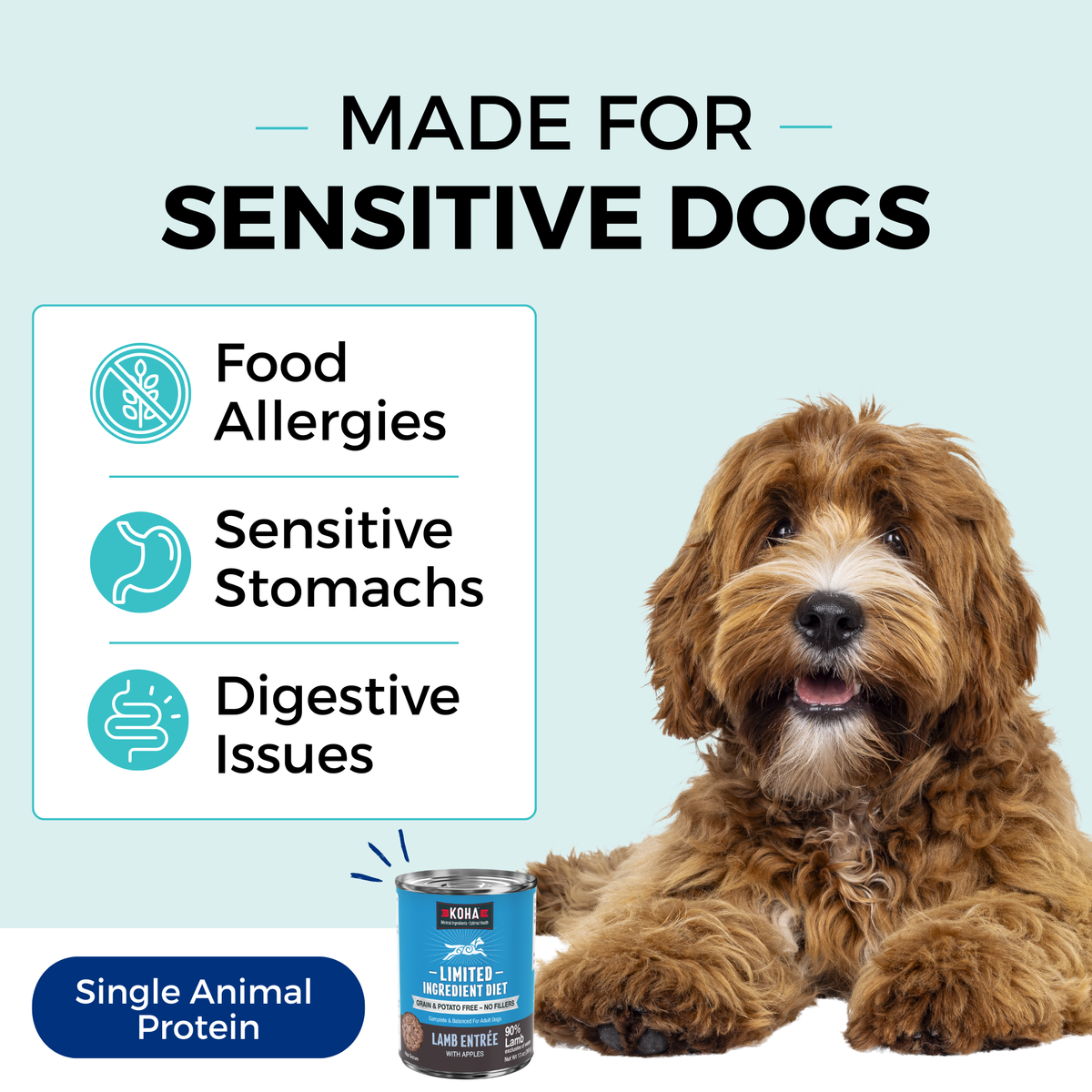 Graphic with a light blue background and a dog laying down next to a can of KOHA food. The copy says Made for Sensitive Dogs. In a box, the bullets say Food Allergies, Sensitive Stomachs, Digestive Issues. The bottom says Single Animal Protein. 