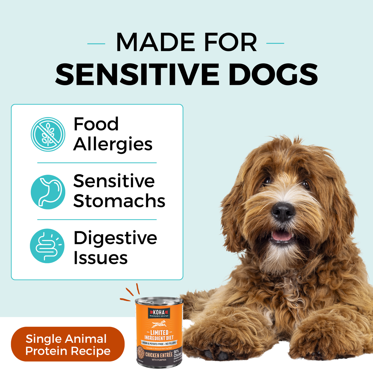 Graphic with a light blue background and a dog laying down next to a can of KOHA food. The copy says Made for Sensitive Dogs. In a box, the bullets say Food Allergies, Sensitive Stomachs, Digestive Issues. The bottom says Single Animal Protein. 
