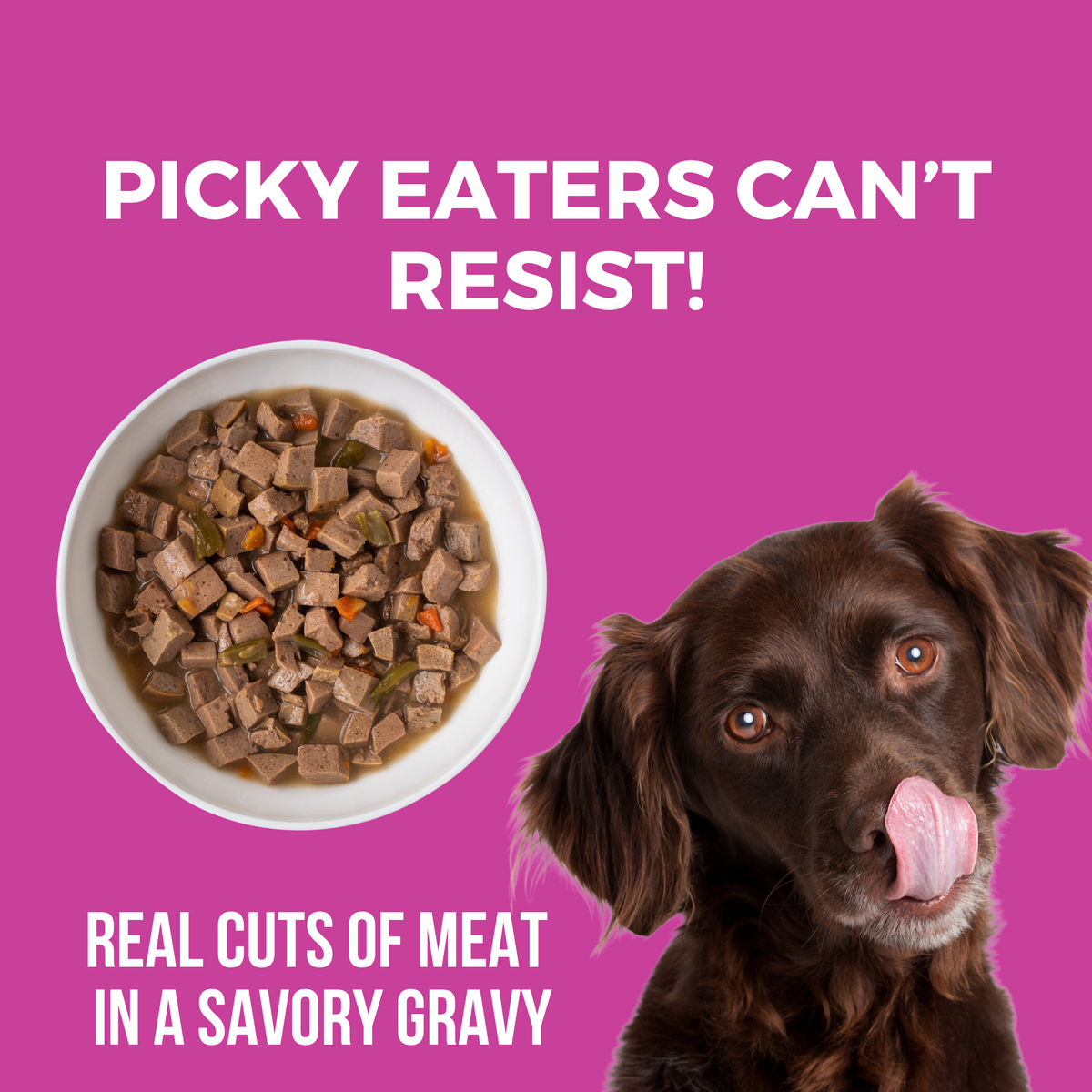 Image of dog licking its mouth with a bowl of slow cooked stew. Headline Picky Eaters Can't Resist and Real cuts of meat in a savory gravy.