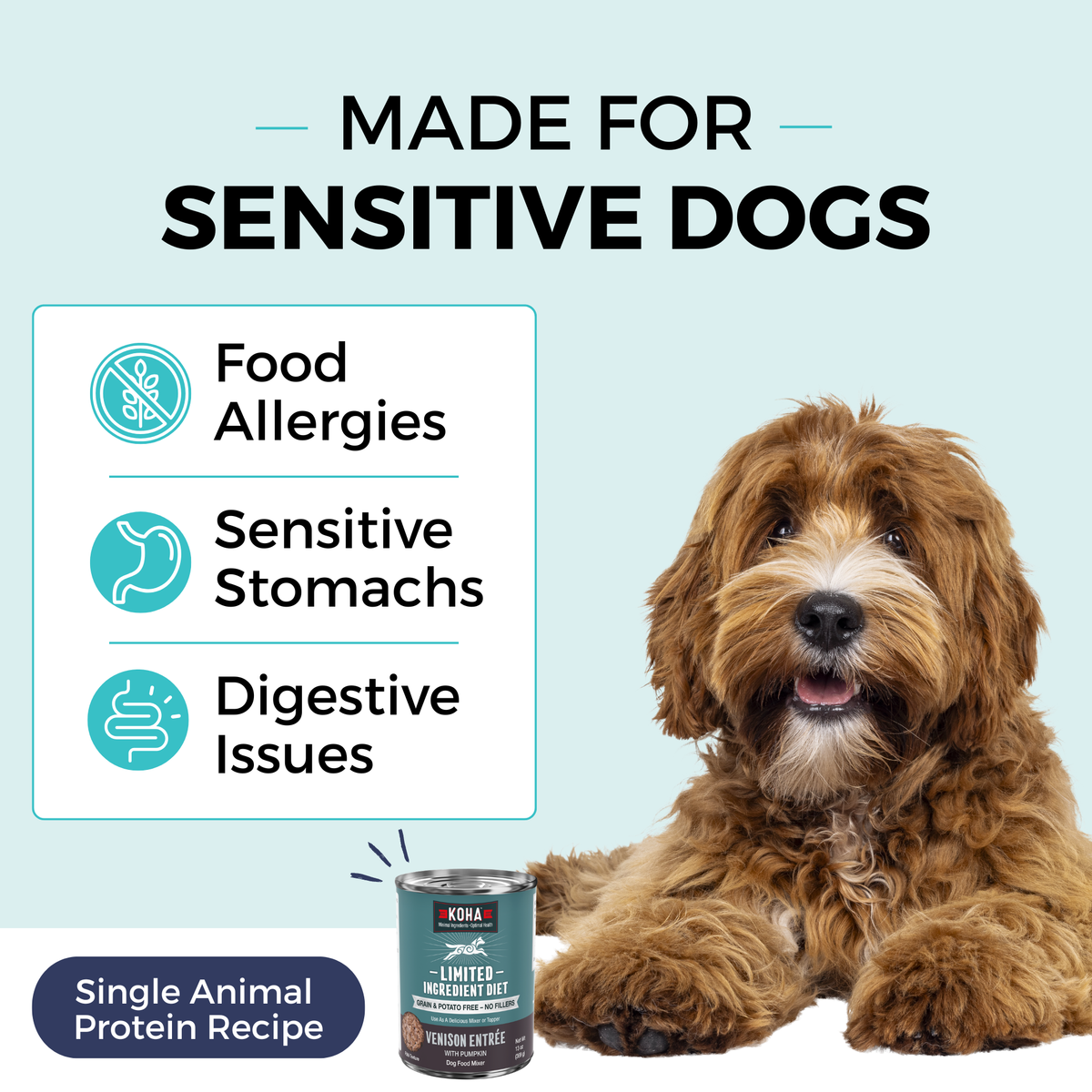 Graphic with a light blue background and a dog laying down next to a can of KOHA food. The copy says Made for Sensitive Dogs. In a box, the bullets say Food Allergies, Sensitive Stomachs, Digestive Issues. The bottom says Single Animal Protein. 