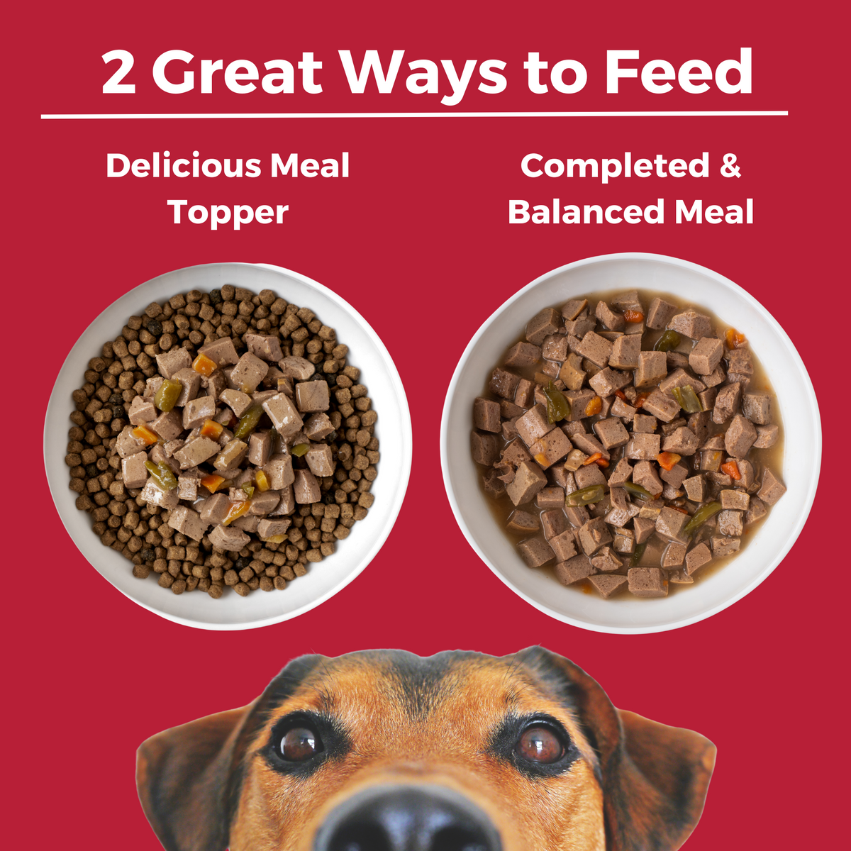 Two bowls of food with a headline that says 2 Great Ways to Feed. The first bowl has wet food on top of kibble and says delicious meal topper. The second bowl has all wet food and says complete and balanced meal. 