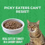 Minimal Ingredient Turkey Stew for Cats