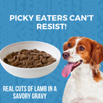 Minimal Ingredient Lamb Stew for Dogs