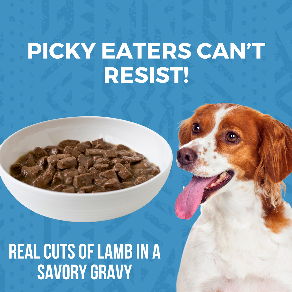 Lamb Stew Wet Dog Food | KOHA Pet