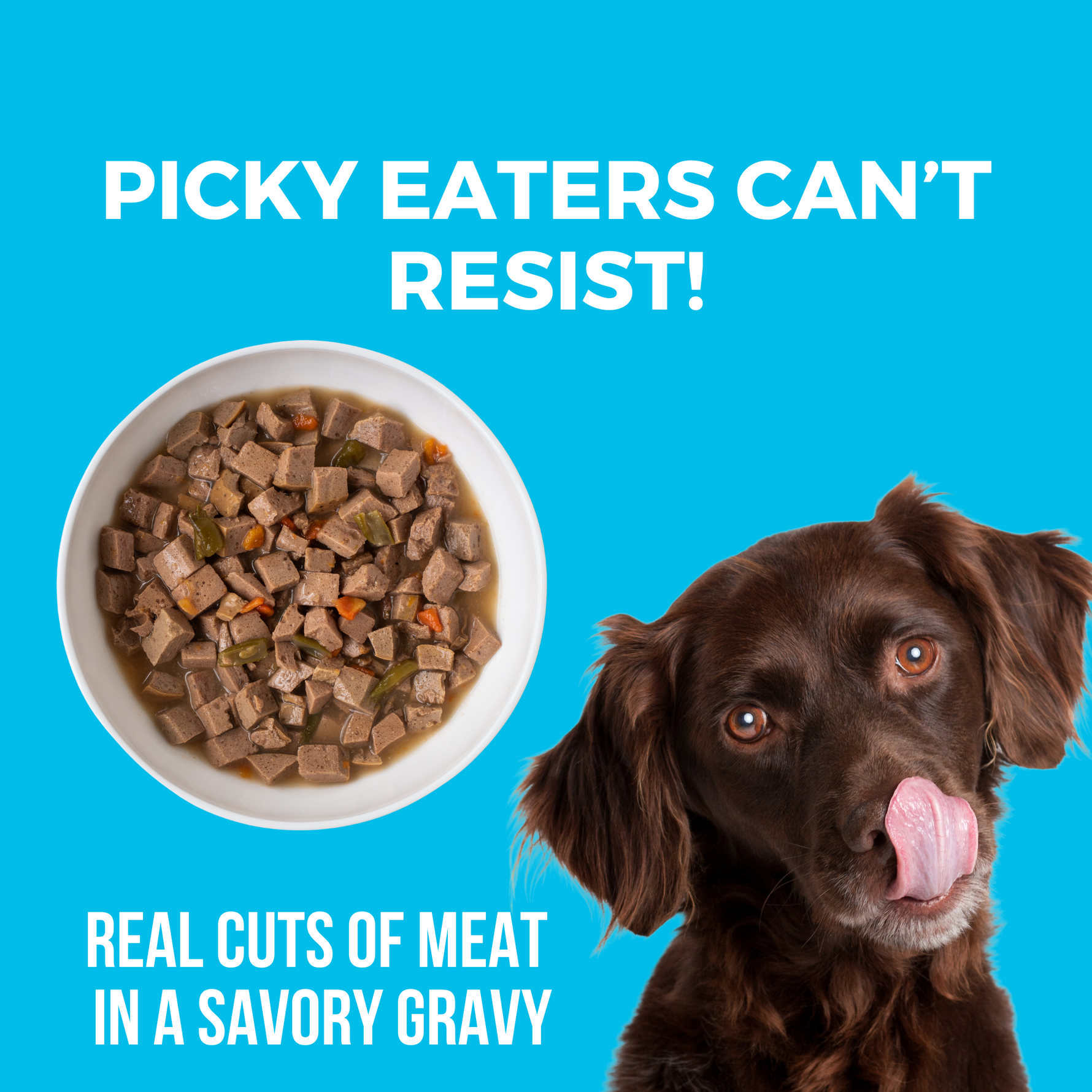 Image of dog licking its mouth with a bowl of slow cooked stew. Headline Picky Eaters Can't Resist and Real cuts of meat in a savory gravy.