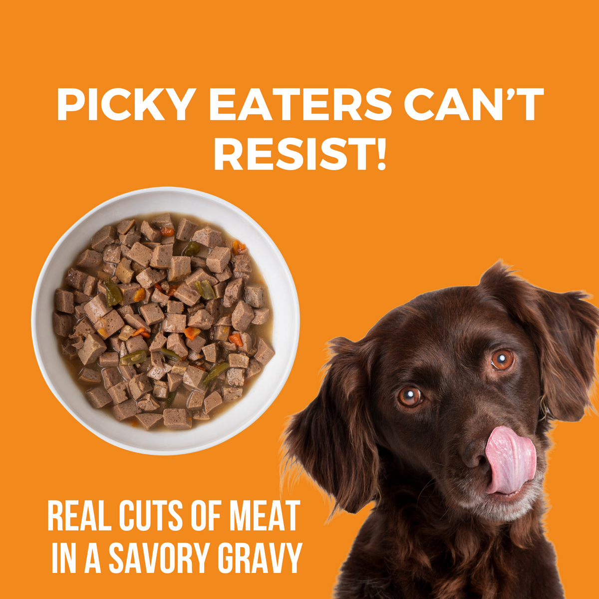 Image of dog licking its mouth with a bowl of slow cooked stew. Headline Picky Eaters Can't Resist and Real cuts of meat in a savory gravy.