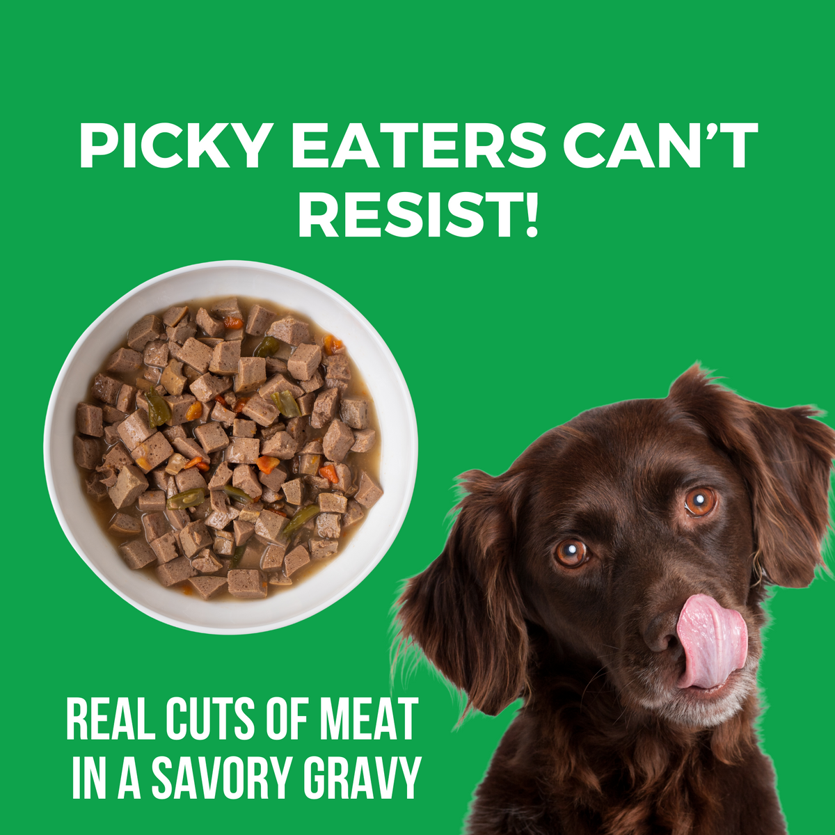 Image of dog licking its mouth with a bowl of slow cooked stew. Headline Picky Eaters Can't Resist and Real cuts of meat in a savory gravy.