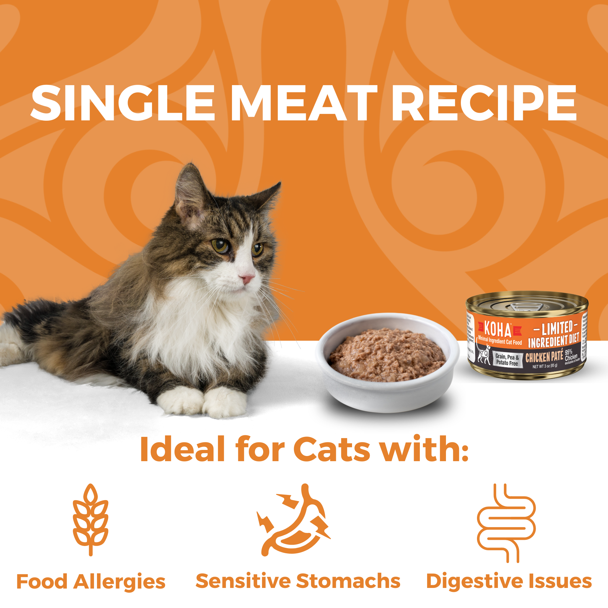 Limited Ingredient Diet Chicken Paté for Cats | KOHA Pet